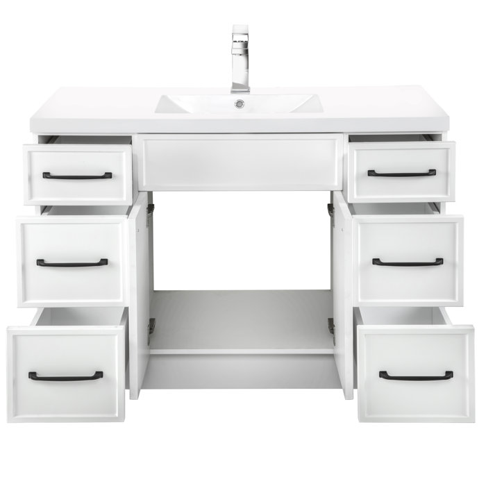 Breakwater Bay Macon 48'' Free Standing Single Bathroom Vanity with